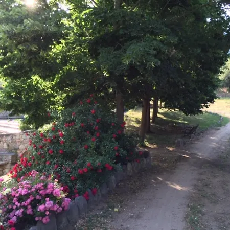 Confortable A Moltifao, Vue Sur Montagne, 50 M² Moltifao