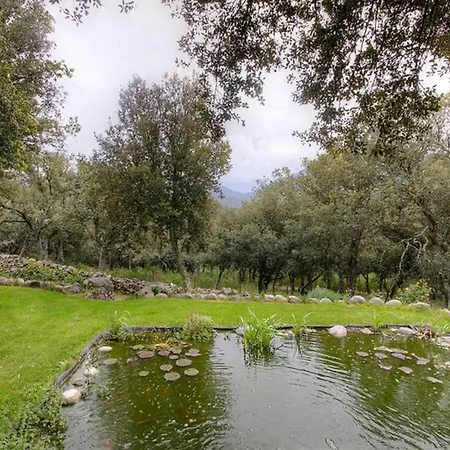 Lägenhet Confortable A Moltifao, Vue Sur Montagne, 50 M²