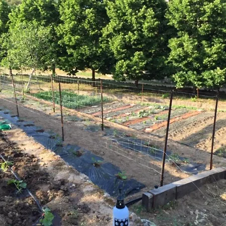 Lägenhet Confortable A Moltifao, Vue Sur Montagne, 50 M² Moltifao