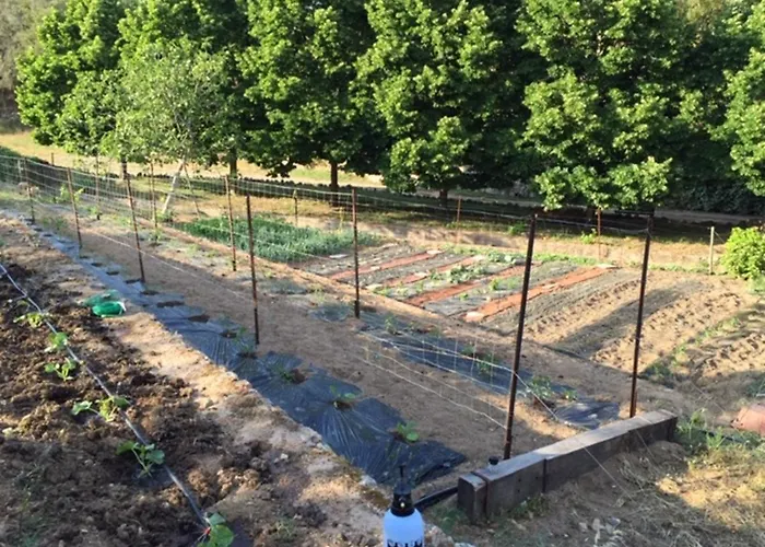 Apartmán Confortable A Moltifao, Vue Sur Montagne, 50 M² Moltifao