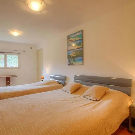 アパート Confortable A Vue Sur Montagne 50 M² Moltifao