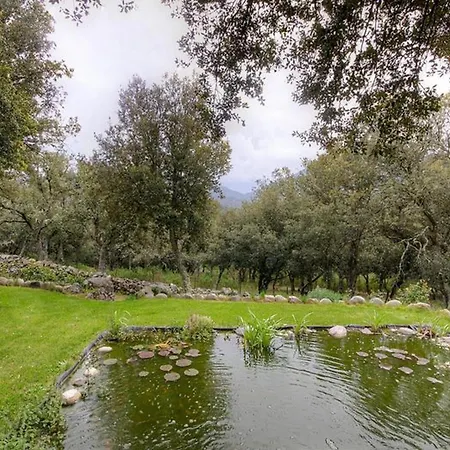 Confortable A Moltifao, Vue Sur Montagne, 50 M² Apartment Moltifao