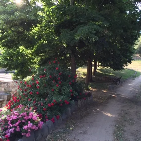 Confortable A Moltifao, Vue Sur Montagne, 50 M² *