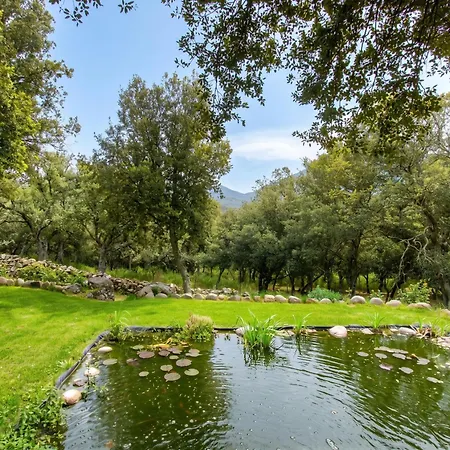 De 2 Avec Jardin Amenage Et Wifi A * Moltifao