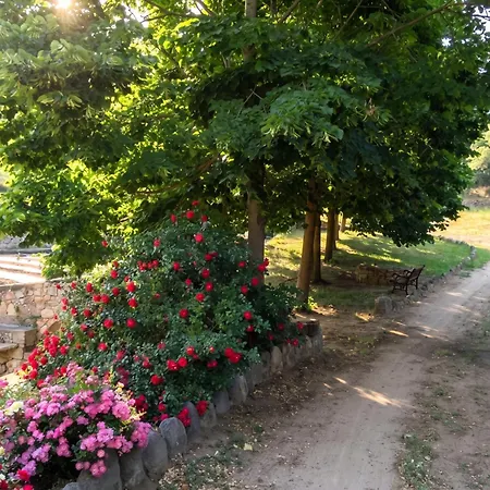 Appartement De 2 Avec Jardin Amenage Et Wifi A Moltifao