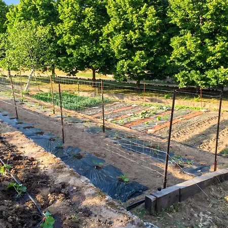 Appartement De 2 Avec Jardin Amenage Et Wifi A *
